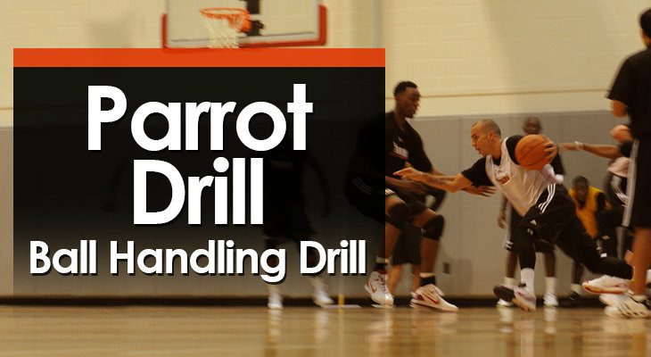 parrot-drill